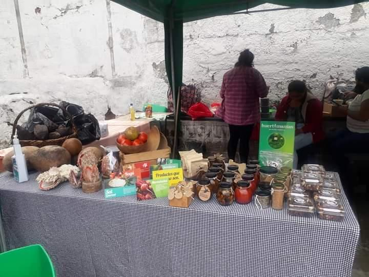 Trabajamos en la adquisición de destrezas y el potenciamiento de habilidades para personas con discapacidad psicosocial. Desarrollamos emprendimientos productivos para la inclusión económica y laboral. 